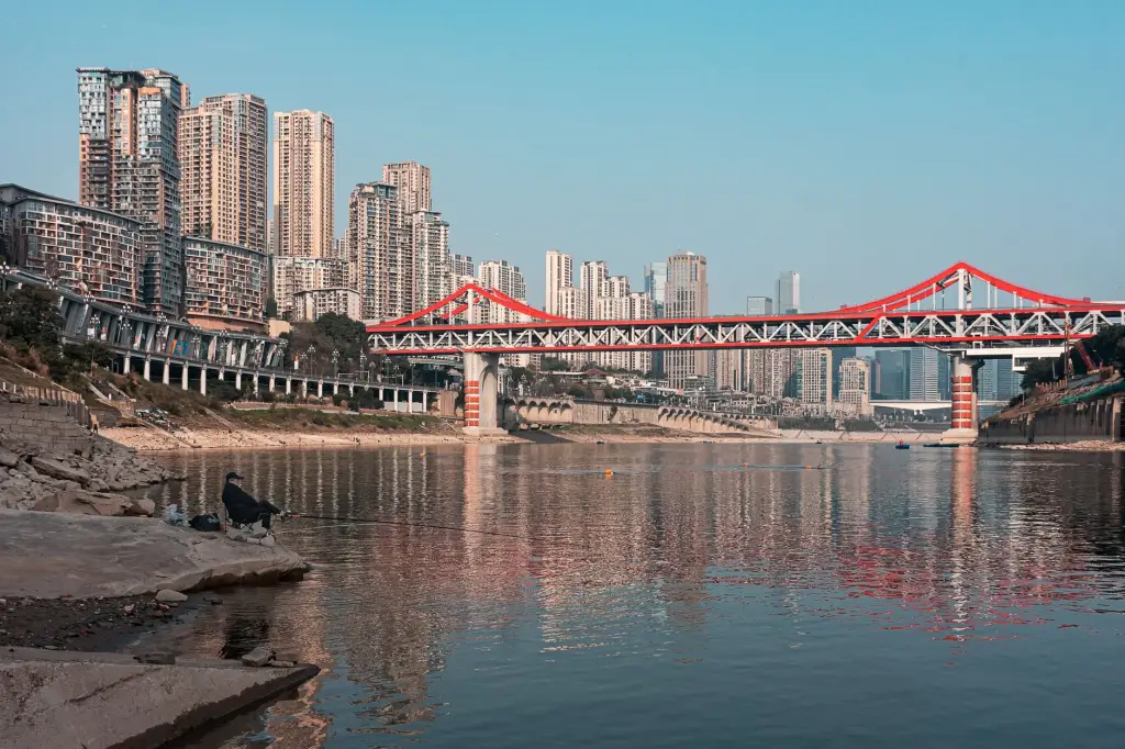 安溪建材市场2025年装修材料趋势与五金配件选购指南